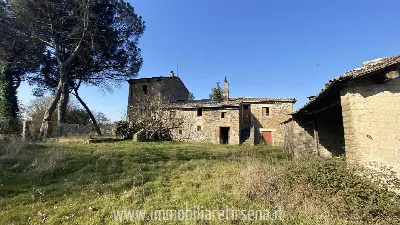 Rustico/Casale in vendita a Orvieto - foto 3