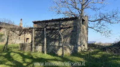 Rustico/Casale in vendita a Orvieto - foto 7