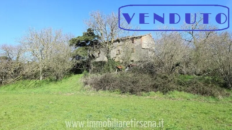 Rustico/Casale in vendita a San Lorenzo Nuovo - foto 1