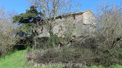 Rustico/Casale in vendita a San Lorenzo Nu... - foto 3