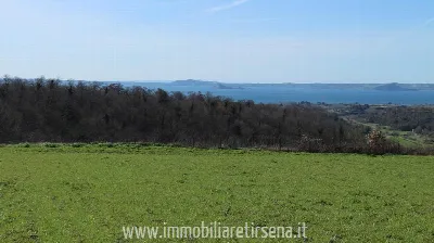 Rustico/Casale in vendita a San Lorenzo Nu... - foto 4