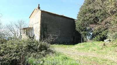 Rustico/Casale in vendita a San Lorenzo Nu... - foto 6