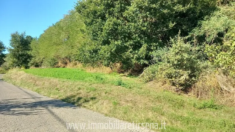 Appartamento in vendita a Orvieto - foto 8