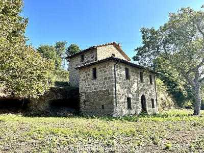Rustico/Casale in vendita a Orvieto - foto 2