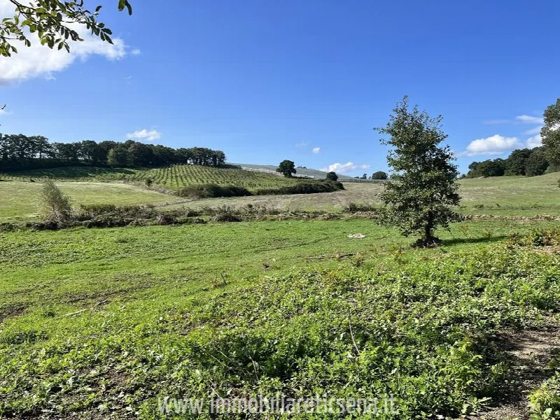 Rustico/Casale in vendita a Orvieto - foto 4