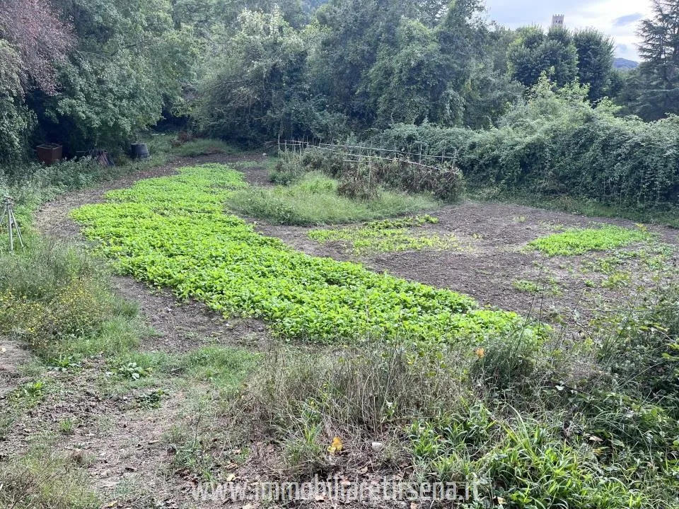 Rustico/Casale in vendita a Orvieto - foto 4