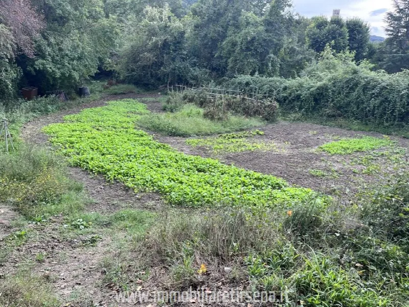 Rustico/Casale in vendita a Orvieto - foto 4