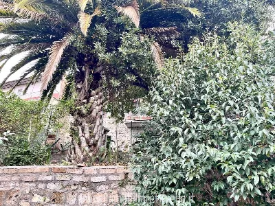 Casa Indipendente in vendita a Castiglione... - foto 10