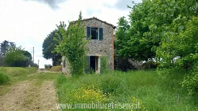Rustico/Casale in vendita a Ficulle - foto 2