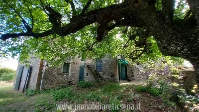 Rustico/Casale in vendita a Ficulle - foto 4