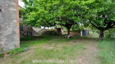 Rustico/Casale in vendita a Ficulle - foto 6