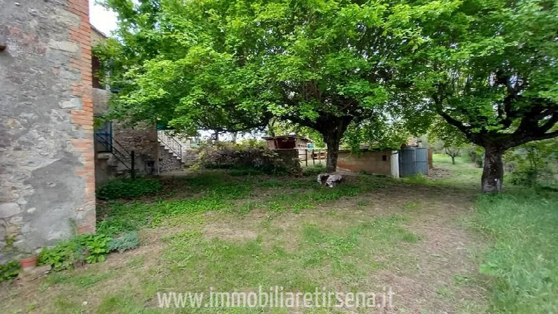 Rustico/Casale in vendita a Ficulle - foto 6