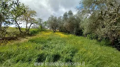 Rustico/Casale in vendita a Ficulle - foto 7