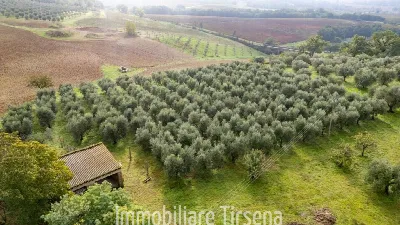 Rustico/Casale in vendita a Orvieto - foto 8