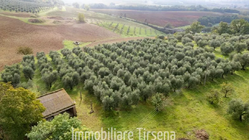 Rustico/Casale in vendita a Orvieto - foto 8
