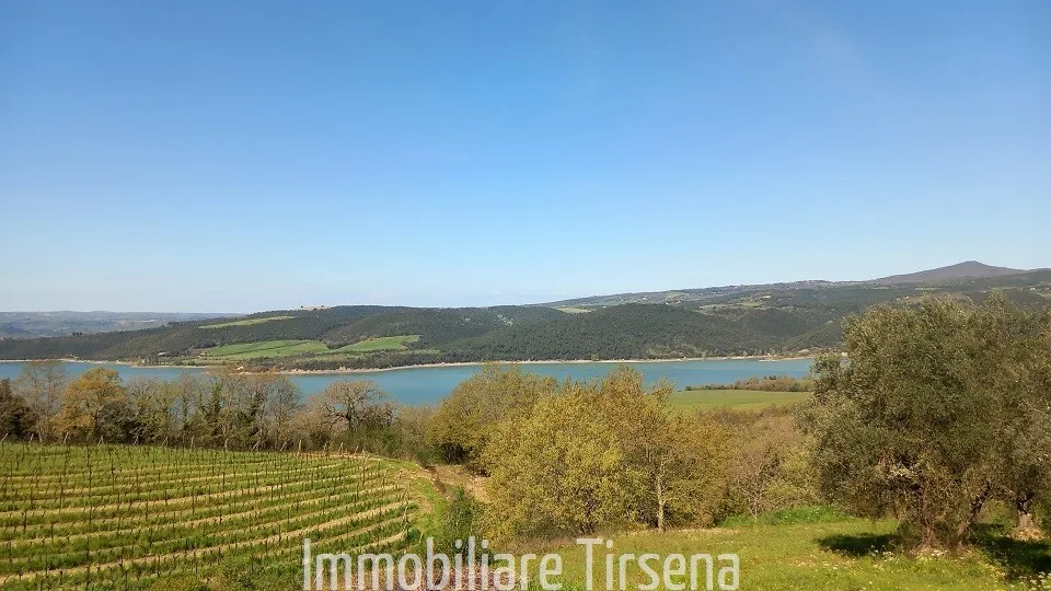 Rustico/Casale in vendita a Baschi - foto 4