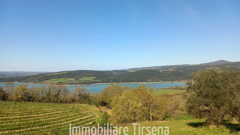 Rustico/Casale in vendita a Baschi - foto 4