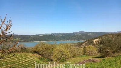 Rustico/Casale in vendita a Baschi - foto 5