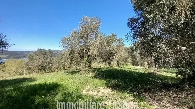 Rustico/Casale in vendita a Baschi - foto 6