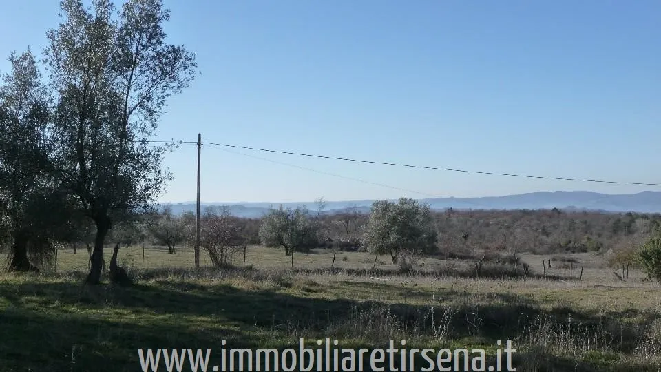 Rustico/Casale in vendita a Montegabbione - foto 2