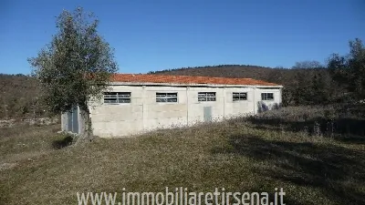Rustico/Casale in vendita a Montegabbione - foto 4