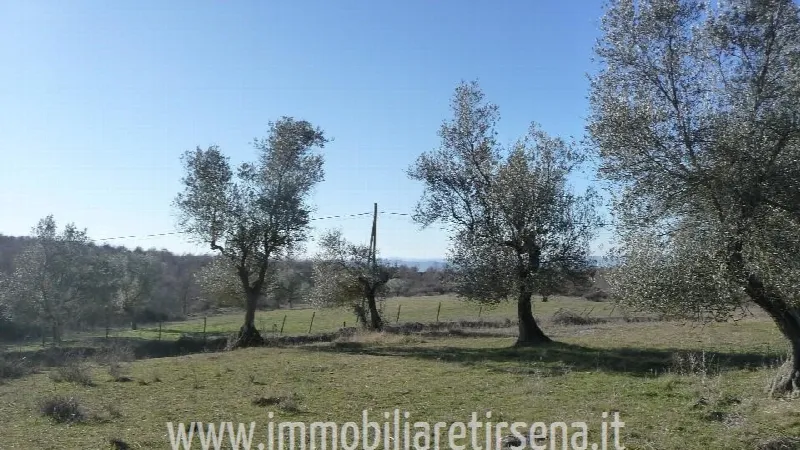 Rustico/Casale in vendita a Montegabbione - foto 6