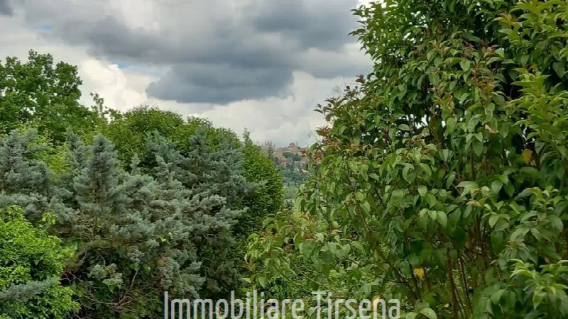 Rustico/Casale in vendita a Orvieto - foto 7