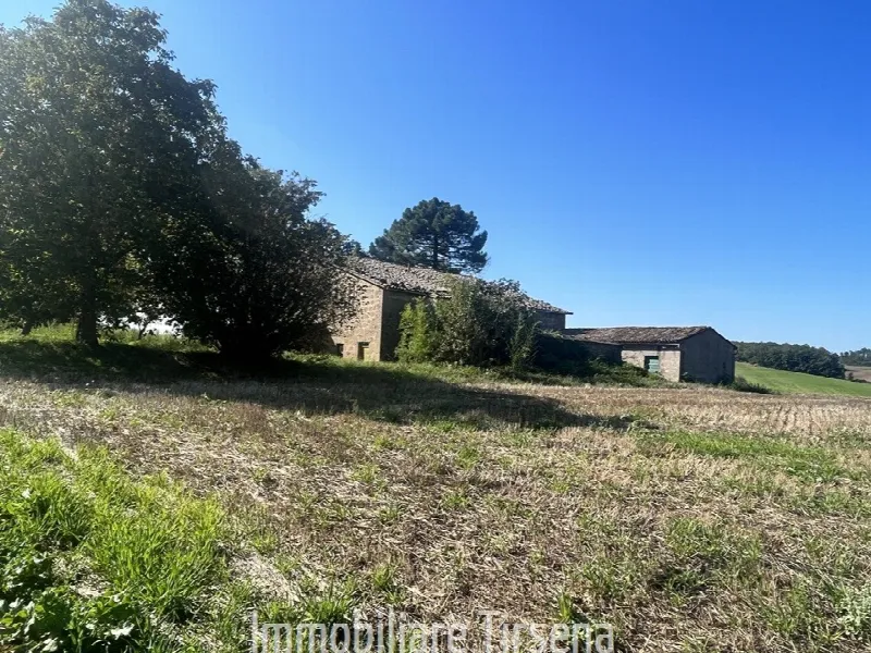 Rustico/Casale in vendita a Lubriano - foto 8