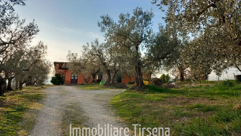 Rustico/Casale in vendita a Orvieto - foto 1