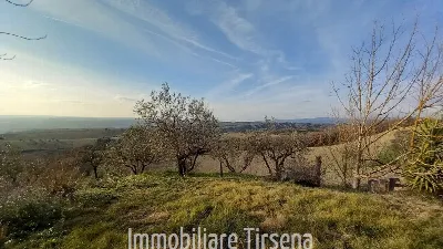 Rustico/Casale in vendita a Orvieto - foto 9