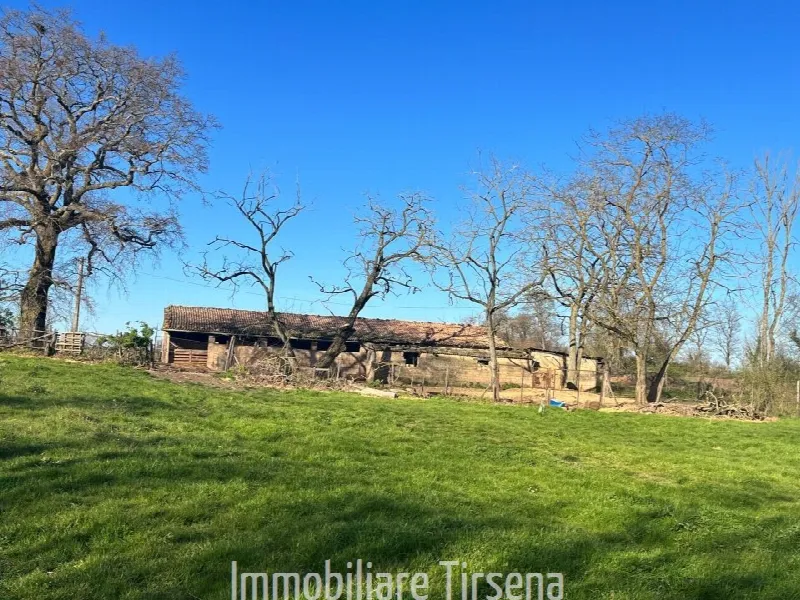 Rustico/Casale in vendita a Acquapendente - foto 4