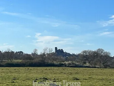 Rustico/Casale in vendita a Acquapendente - foto 5