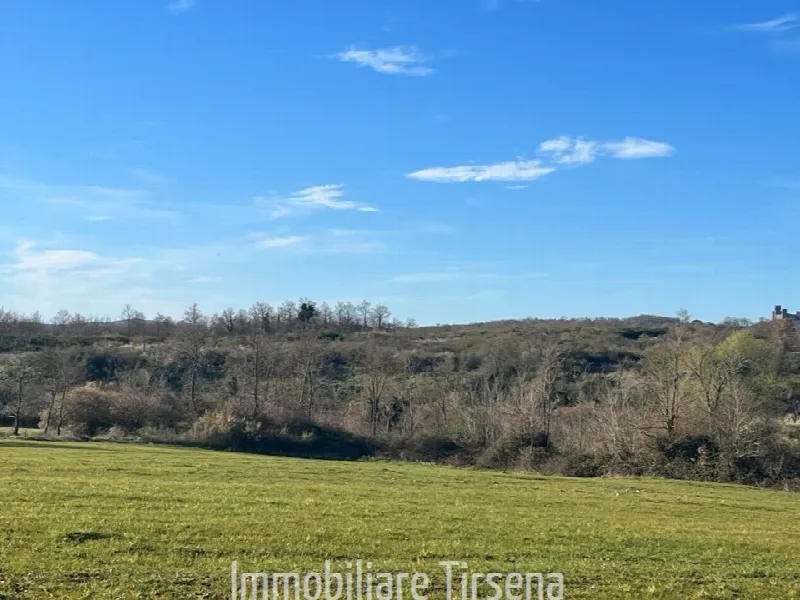 Rustico/Casale in vendita a Acquapendente - foto 9