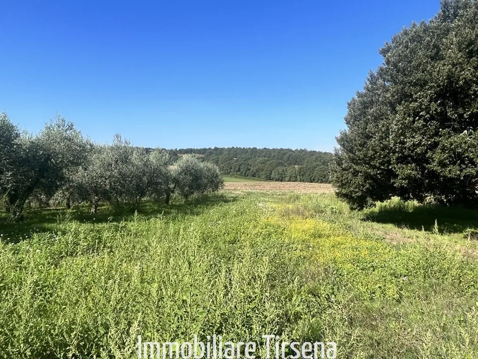 Rustico/Casale in vendita a Orvieto - foto 5