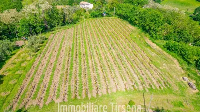 Rustico/Casale in vendita a Orvieto - foto 10