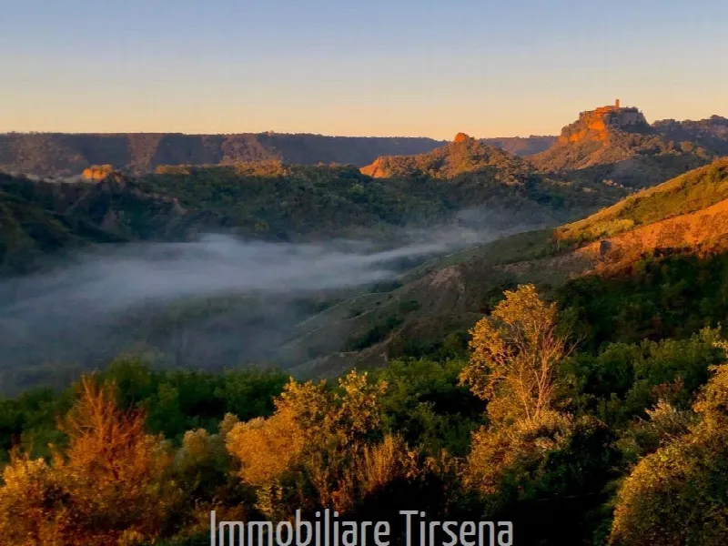 Rustico/Casale in vendita a Lubriano - foto 2