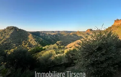 Rustico/Casale in vendita a Lubriano - foto 3
