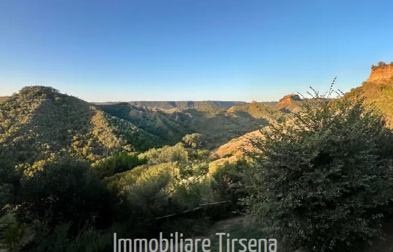 Rustico/Casale in vendita a Lubriano - foto 3