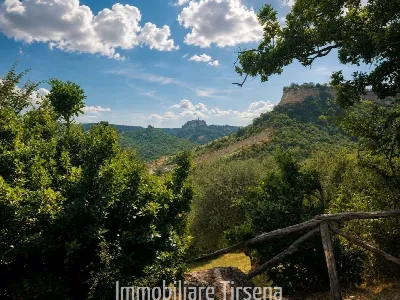 Rustico/Casale in vendita a Lubriano - foto 5