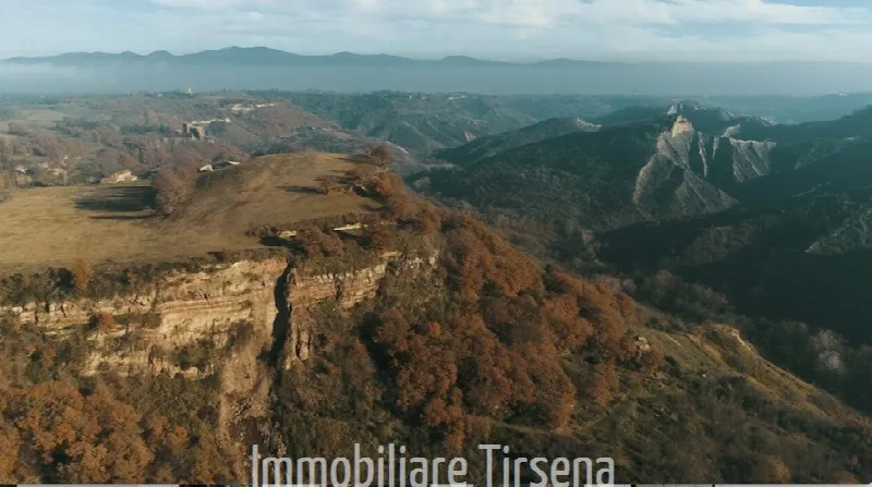 Rustico/Casale in vendita a Lubriano - foto 8