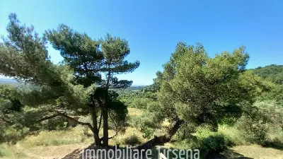Casa Indipendente in vendita a San Venanzo - foto 10
