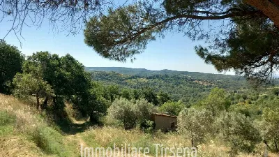 Casa Indipendente in vendita a San Venanzo - foto 8