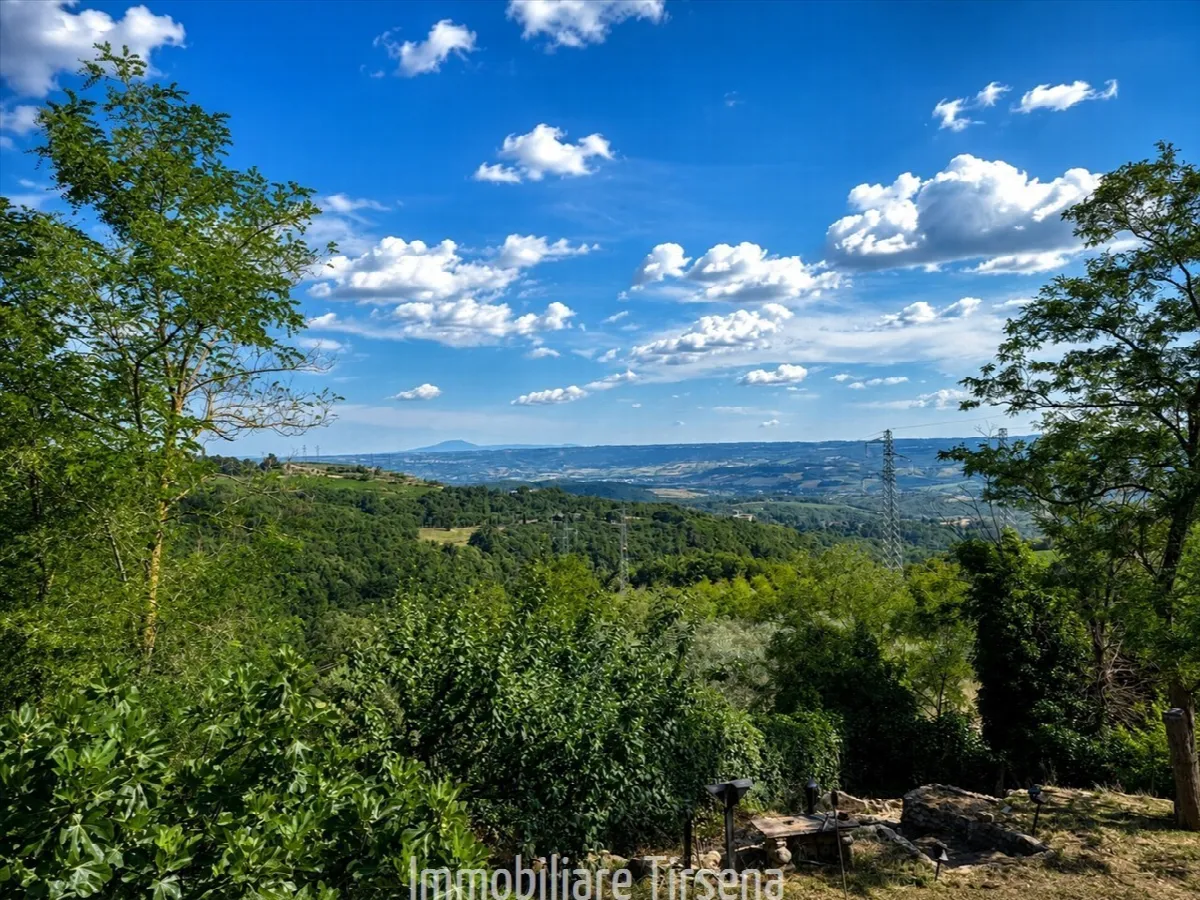 Rustico/Casale in vendita a Orvieto - foto 5