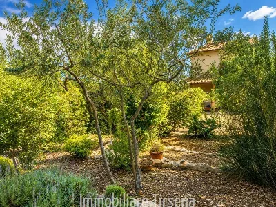 Rustico/Casale in vendita a Orvieto - foto 7