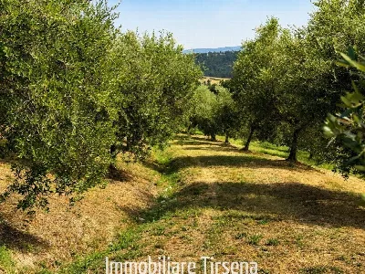 Villa in vendita a Fabro - foto 2