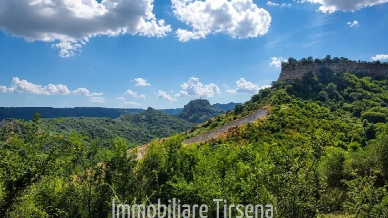 Villa in vendita a Lubriano - foto 10