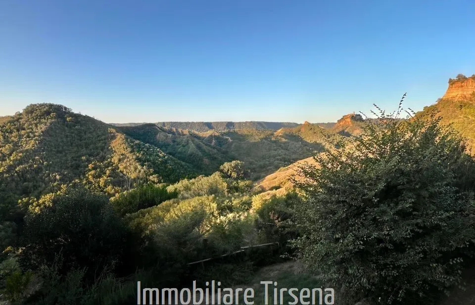 Villa in vendita a Lubriano - foto 3