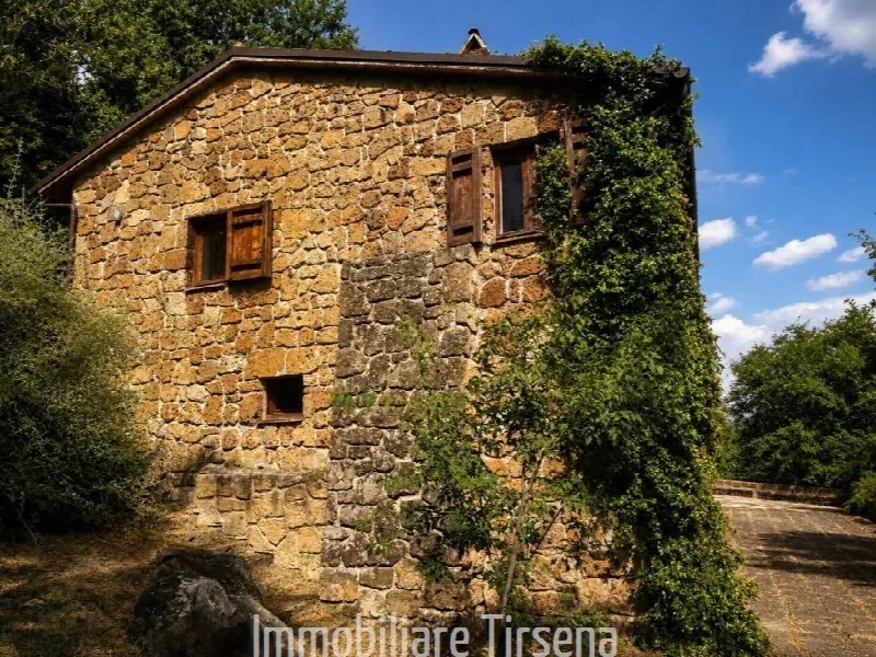 Villa in vendita a Lubriano - foto 7