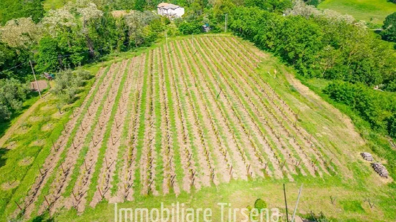 Villa in vendita a Orvieto - foto 10