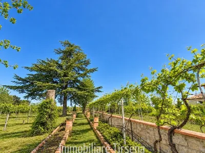 Villa in vendita a San Lorenzo Nuovo - foto 6